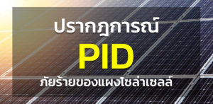 ปรากฏการณ์ PID